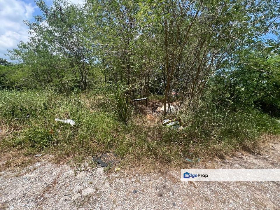 Agricultural Land in Sijangkang for Sale, Selangor, Telok Panglima Garang