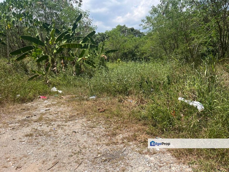 Agricultural Land in Sijangkang for Sale, Selangor, Telok Panglima Garang