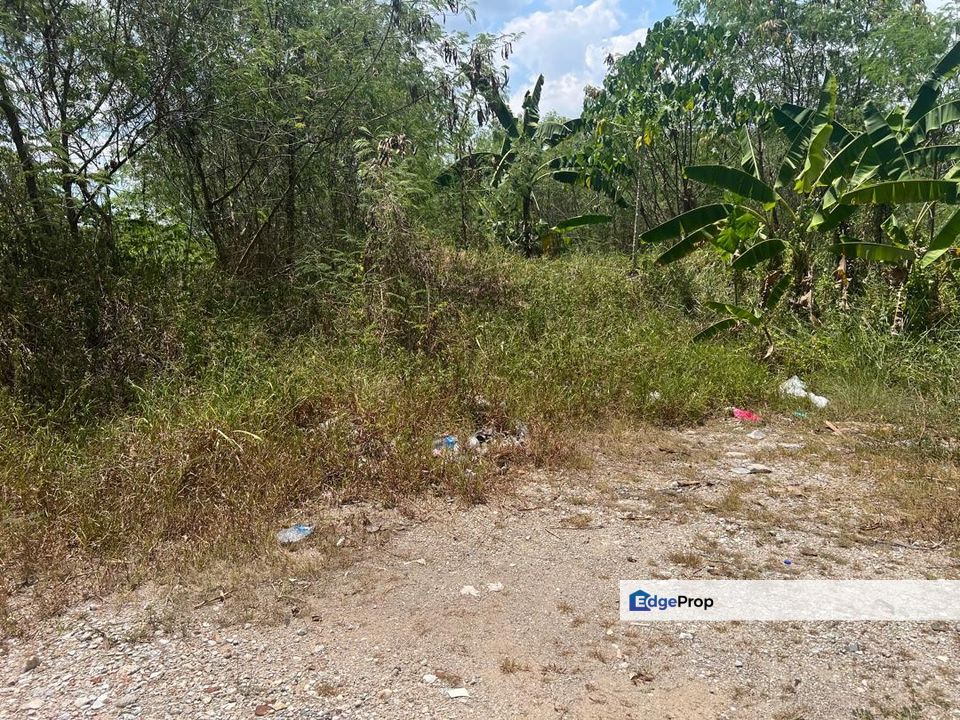 Agricultural Land in Sijangkang for Sale, Selangor, Telok Panglima Garang