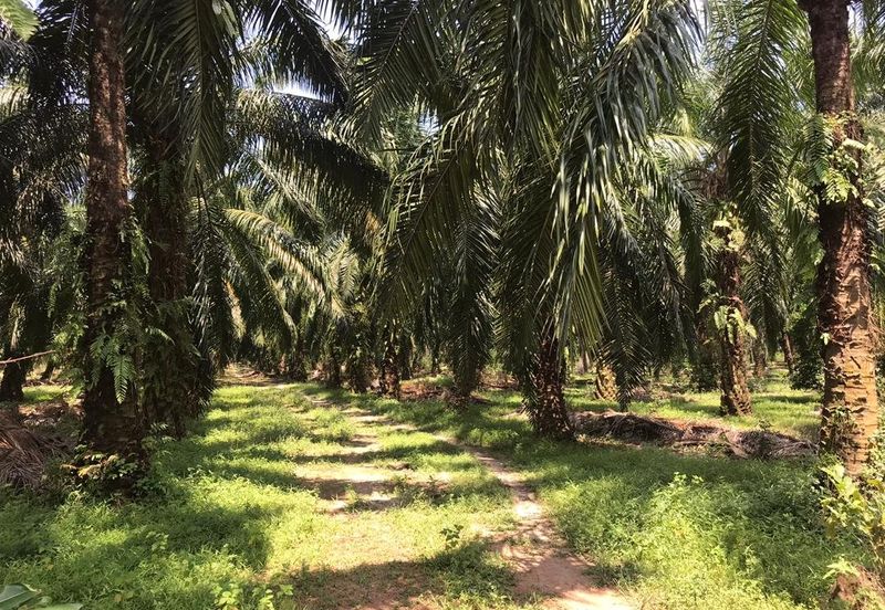 Kawasan Perusahaan Telok Mengkuang