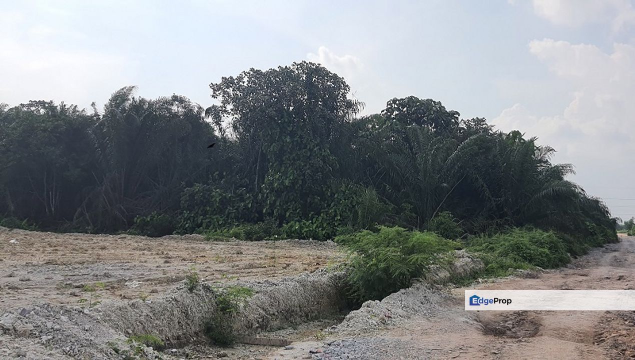 Agricultural Land in Sijangkang for Sale, Selangor, Telok Panglima Garang
