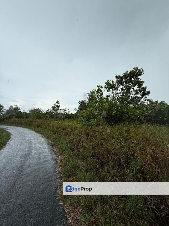 Agriculture Land Sungai Rait Miri Location: Sungai Rait, Miri, Sarawak, Miri