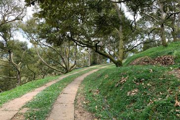 Raub,Bentong, Tras, Sang Lee, Durian Orchard For Sale