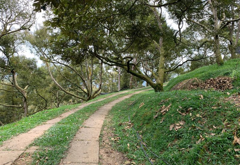 Raub,Bentong, Tras, Sang Lee, Durian Orchard For Sale