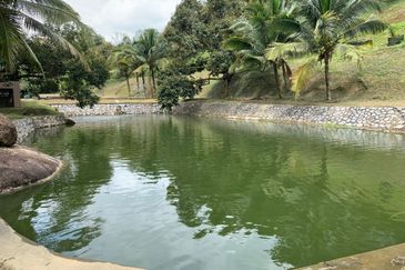 Raub,Bentong, Tras, Sang Lee, Durian Orchard For Sale