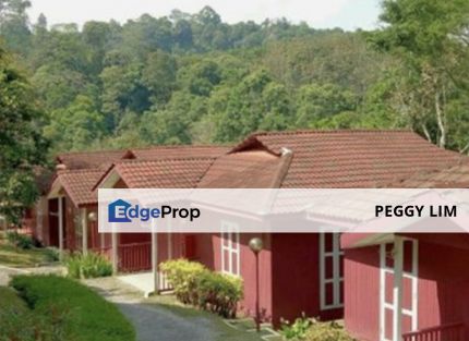 Resort & Training Centre for Sale/Rent at Janda Baik, Pahang, Pahang, Bentong