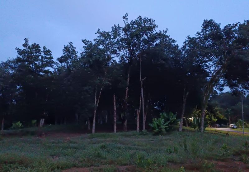 COLLEGE HEIGHTS GARDEN RESORT (PAJAM)