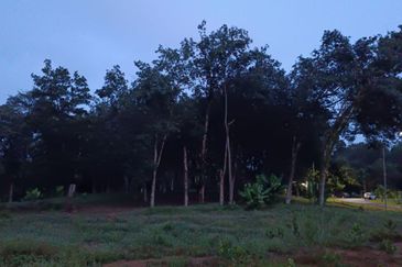 COLLEGE HEIGHTS GARDEN RESORT (PAJAM)