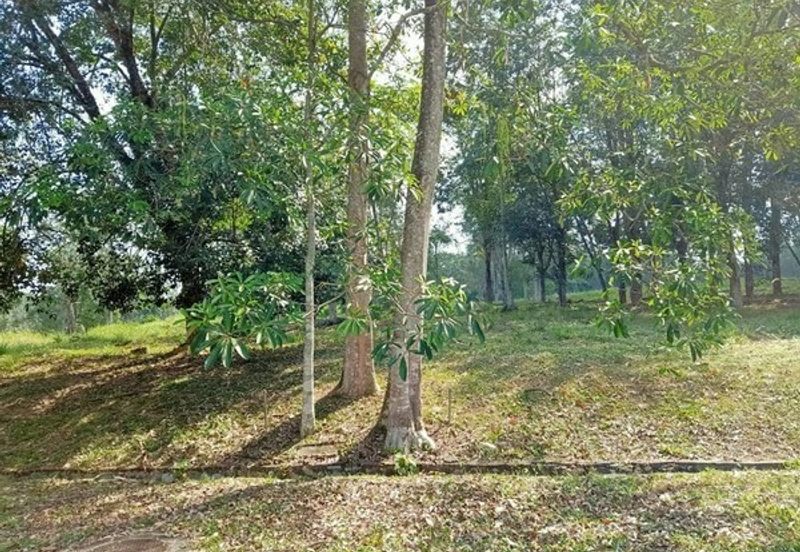 College Heights Garden Resort