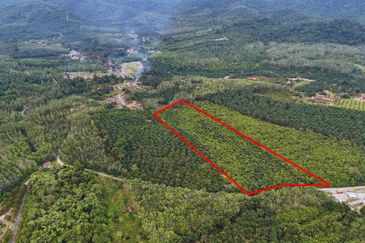 TANAH PERTANIAN NEGERI SEMBILAN (9.9 EKAR)