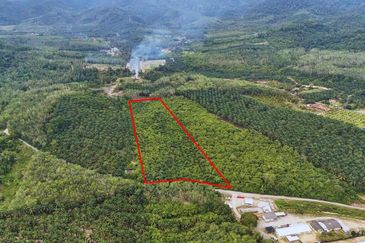 TANAH PERTANIAN NEGERI SEMBILAN (9.9 EKAR)