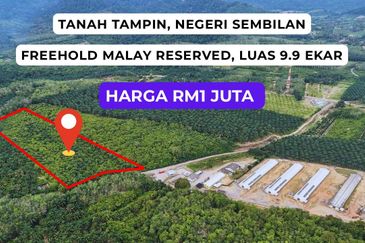 TANAH PERTANIAN NEGERI SEMBILAN (9.9 EKAR)