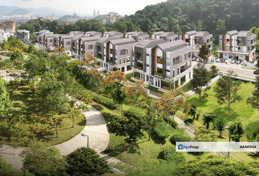 Rafflesia @ Hill 2, Selangor, Damansara Perdana