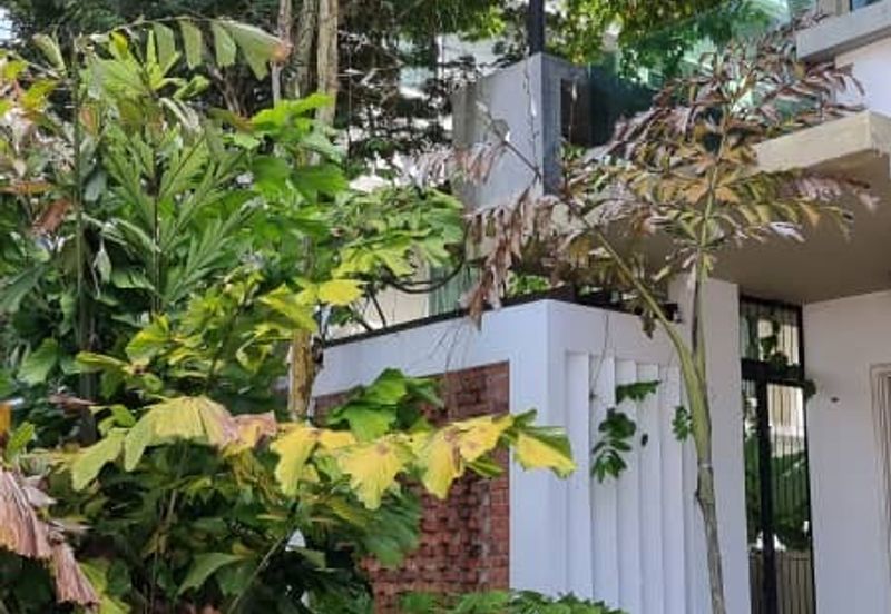 Rafflesia @ The Hill