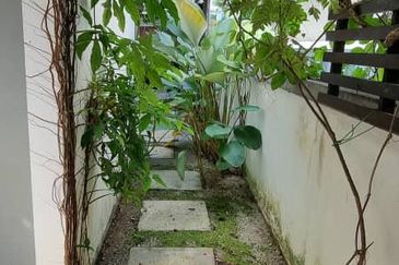 Rafflesia @ The Hill