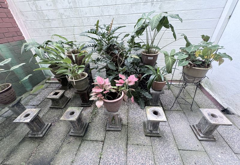 SS 21, Damansara Utama