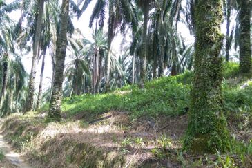 Kajang Freehold Land Development Land