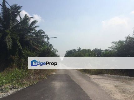 Telok Gong Agriculture Land Zoning Industrial , Selangor, Port Klang
