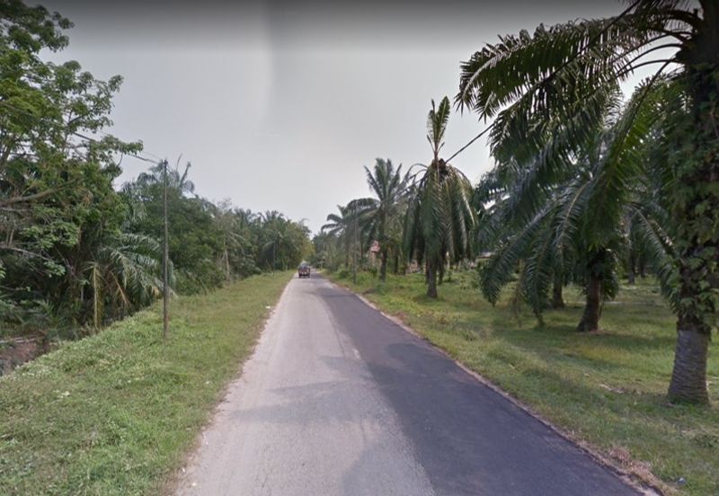 4.91 Acres Agricultural (Banting, Kuala Langat) Land For Sale