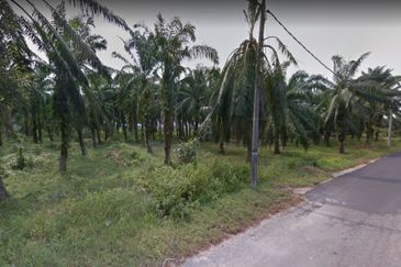 9.8 Acres Agricultural (Banting, Kuala Langat) Land For Sale