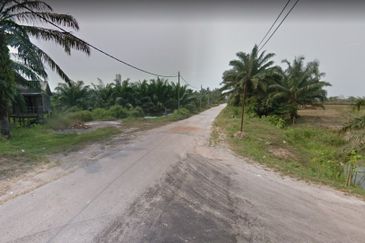 9.8 Acres Agricultural (Banting, Kuala Langat) Land For Sale