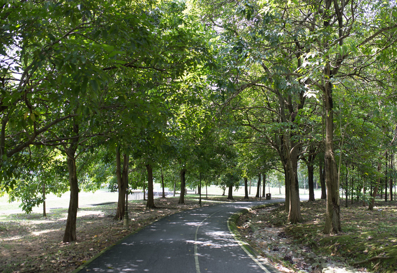 Residensi AVA @ Kiara Bay