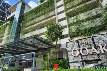 The Ooak (Kiara 163)