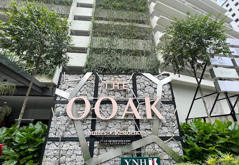 The Ooak (Kiara 163)