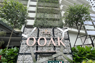 The Ooak (Kiara 163)