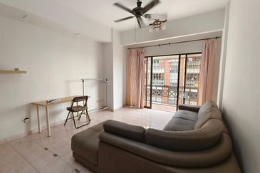 Evergreen Park Cypress