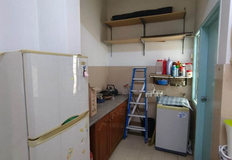 Evergreen Park Cypress