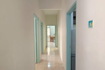 Evergreen Park Cypress