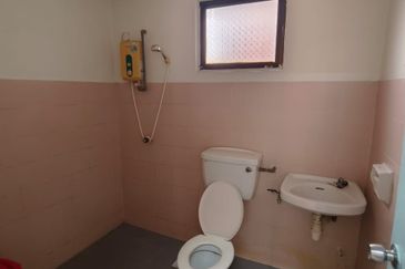 Evergreen Park Cypress