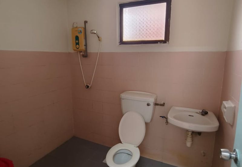 Evergreen Park Cypress