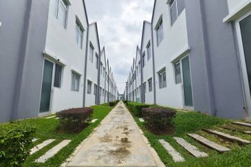 Ebonylane @ Eco Forest