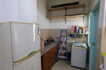 Evergreen Park Acorn and Hazel