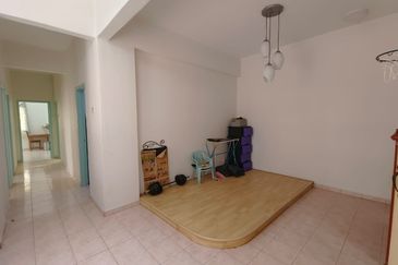 Evergreen Park Acorn and Hazel