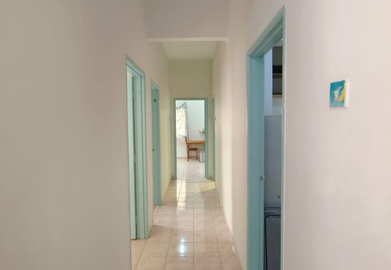 Evergreen Park Acorn and Hazel