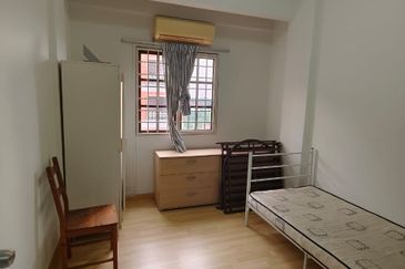 Evergreen Park Acorn and Hazel