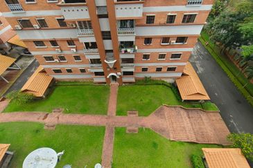 Evergreen Park Acorn and Hazel