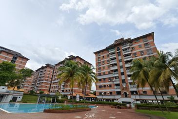 Evergreen Park Acorn and Hazel