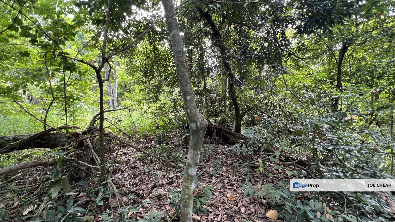 Hillside Bungalow Land For Sale Ukay Heights Taman Hijau Ampang , Selangor, Ampang
