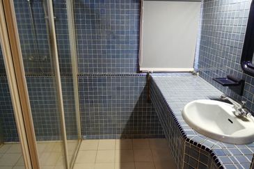 DH - large garden, nice view (home/office)