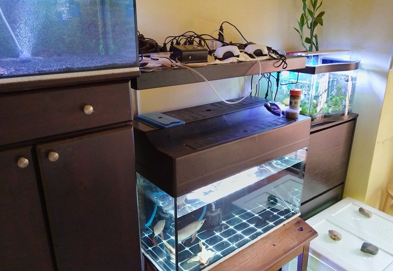 Kampung Warisan Condominium