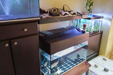 Kampung Warisan Condominium