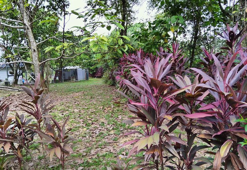 Bandar Saujana Utama