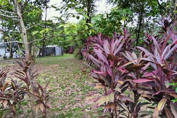 Bandar Saujana Utama