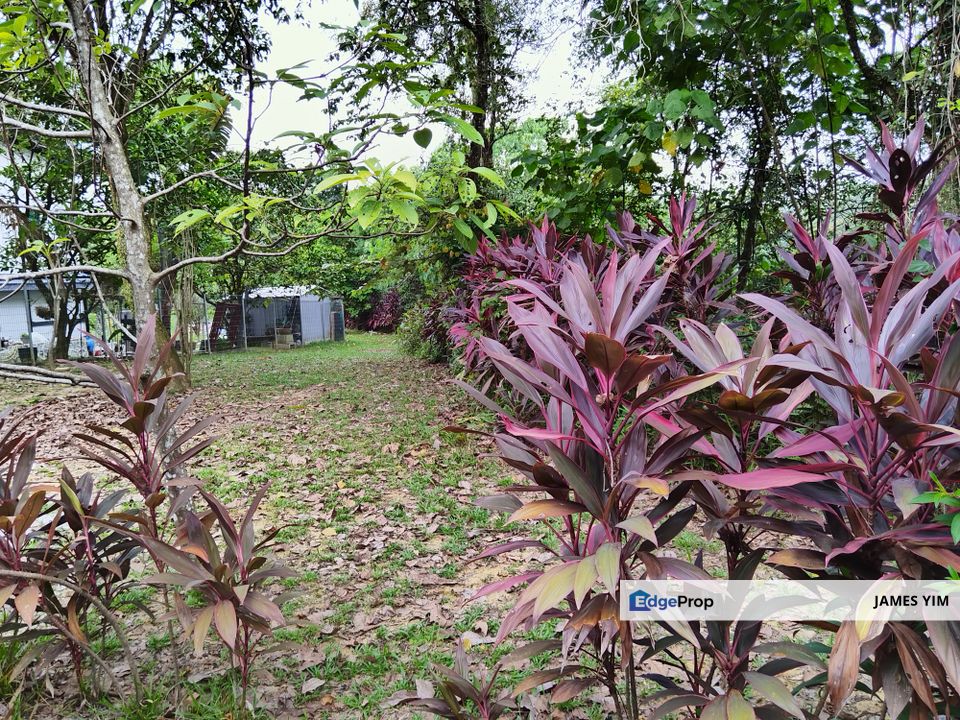 3 adjacent Kenanga Garden Lands@ saujana utama , Selangor, Sungai Buloh