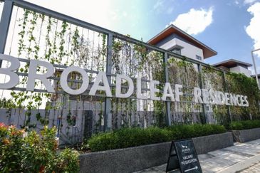 Broadleaf Residences, Hometree