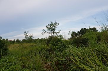 Residential Land With Development Order